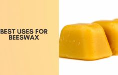 The 3 Best Uses for Beeswax You Need To Know